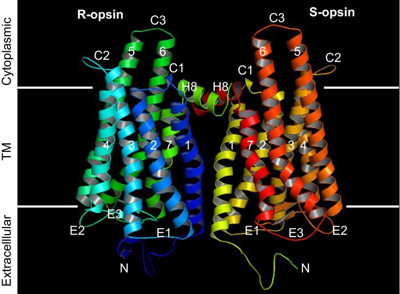 Fig. 3.