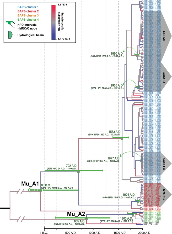 Fig. 1.—