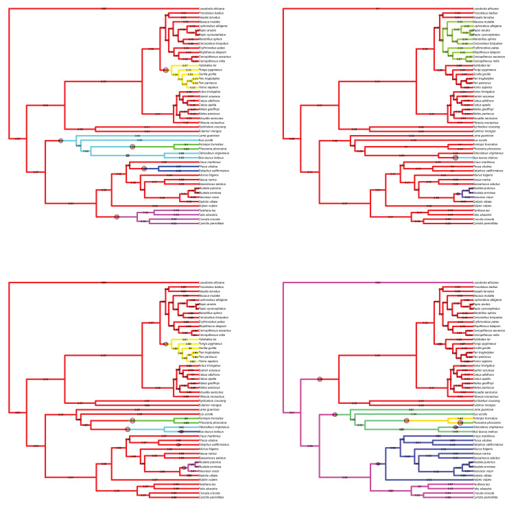 Figure 3—figure supplement 1.