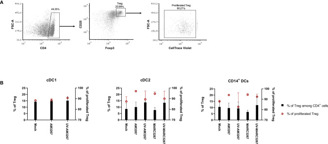 Figure 5