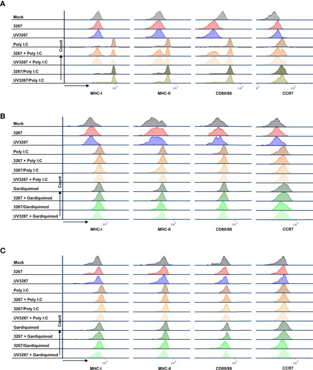 Figure 2