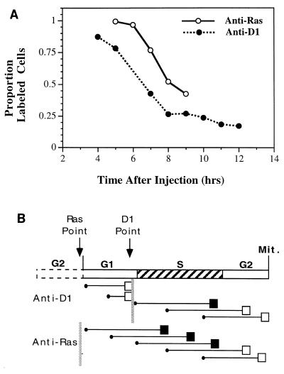 FIG. 7