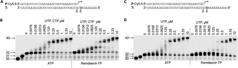 FIG 9