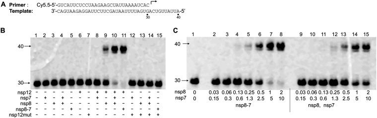 FIG 2