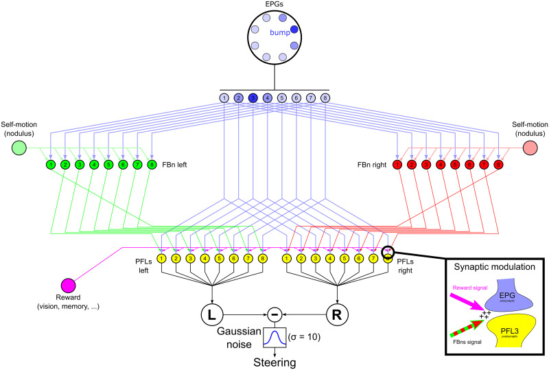 Fig 6