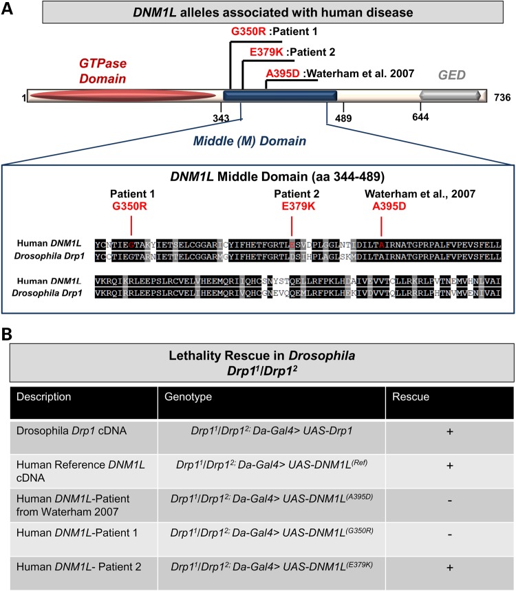 Figure 2.