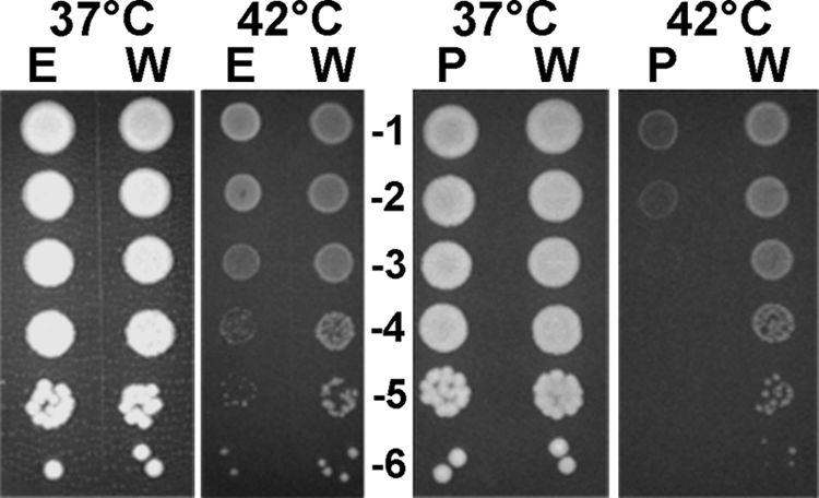 FIG. 9.