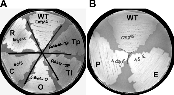 FIG. 6.