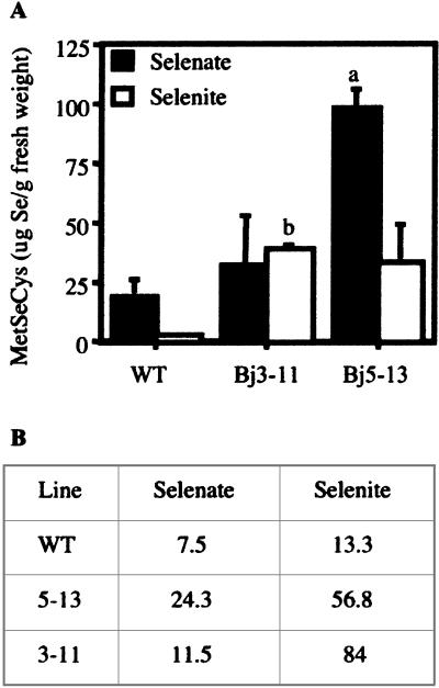 Figure 5.