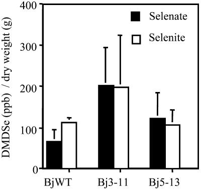 Figure 7.