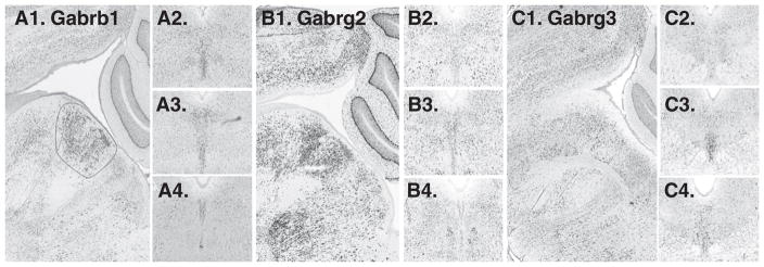 Fig. 8