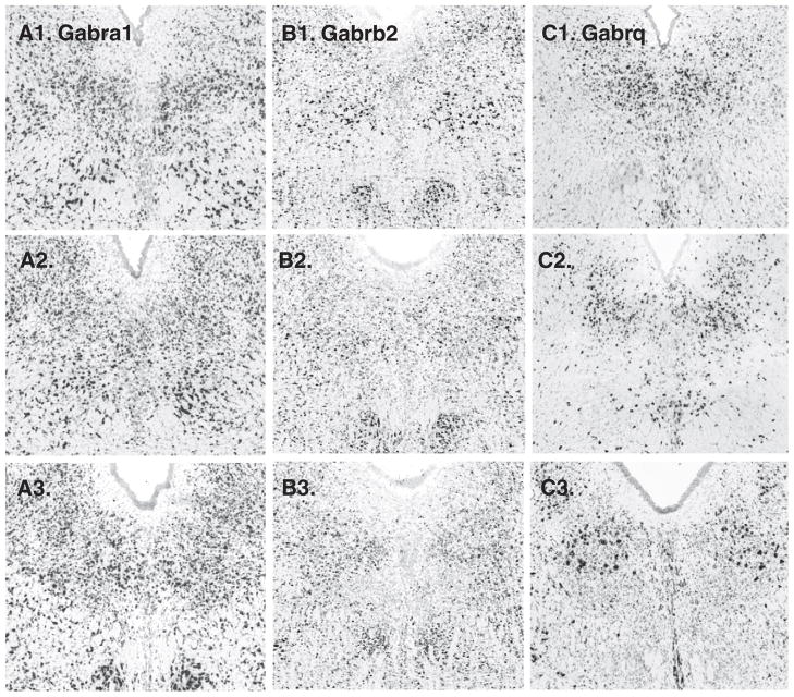 Fig. 9