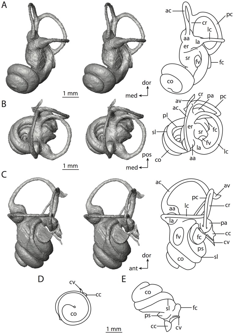 Figure 12