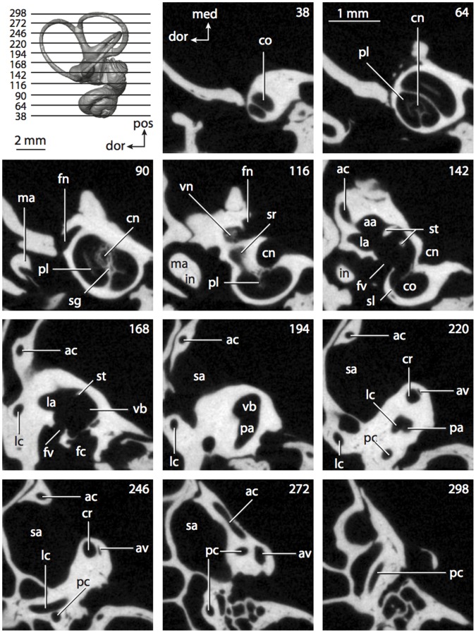 Figure 67