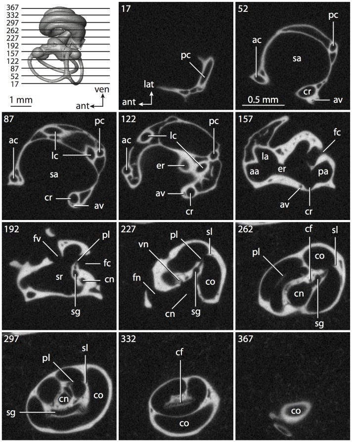 Figure 49