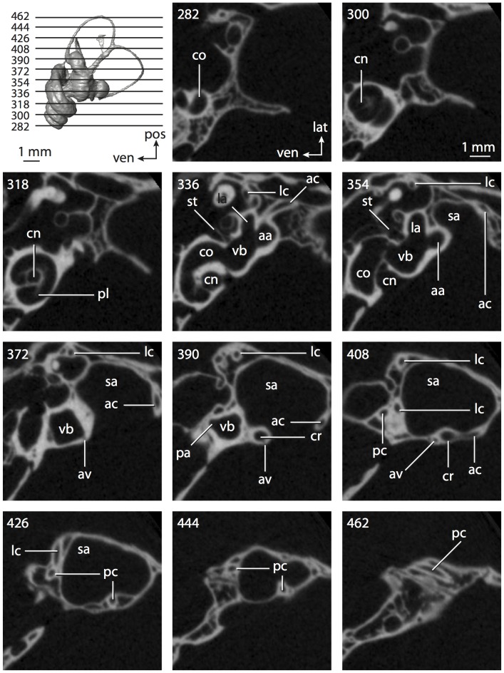 Figure 69