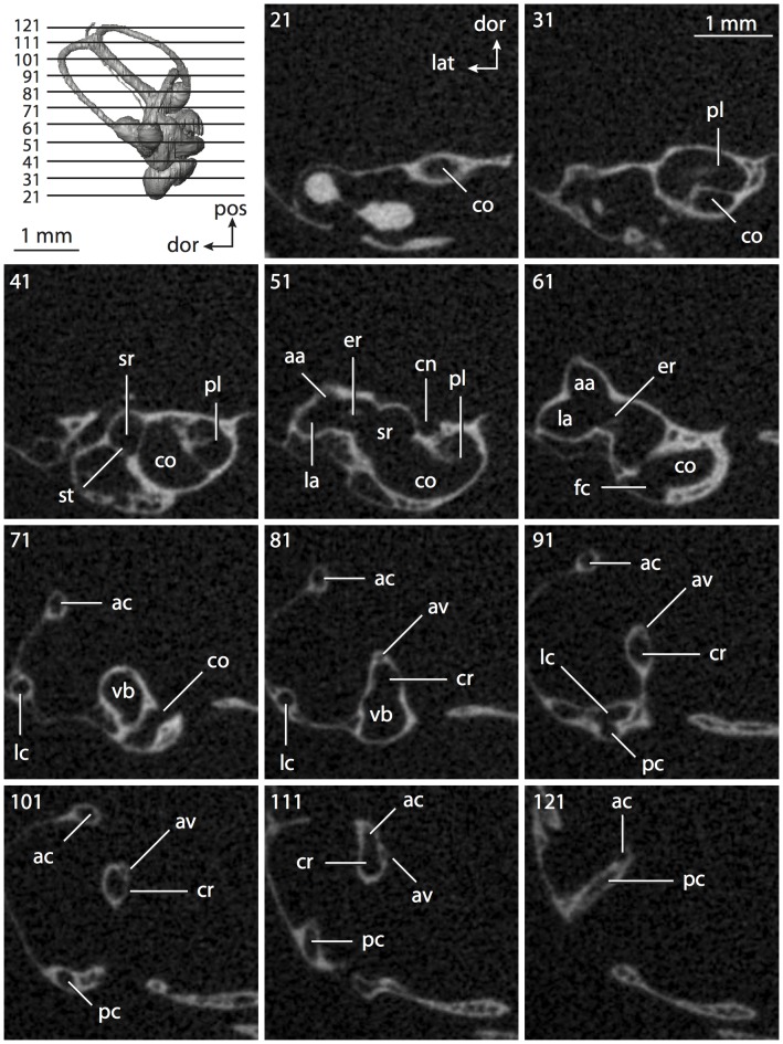 Figure 53