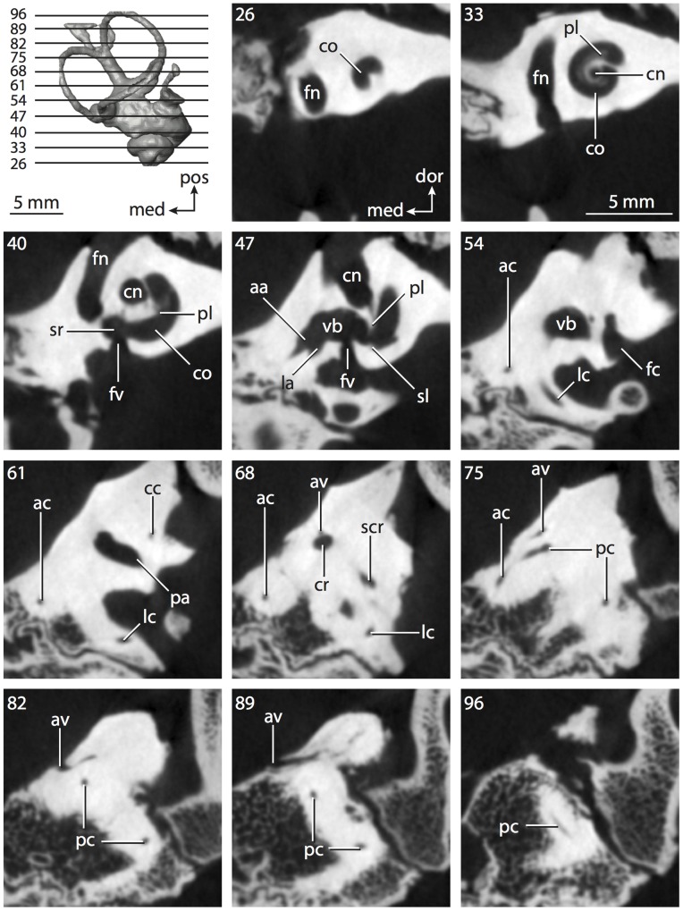 Figure 15