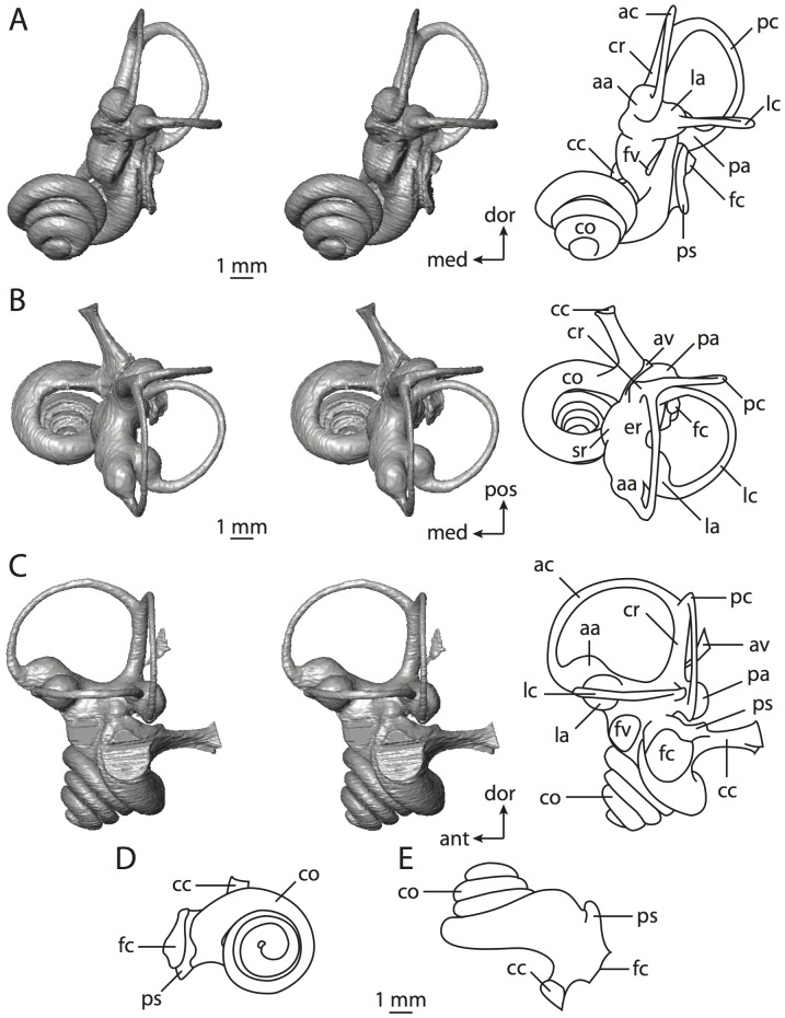 Figure 26