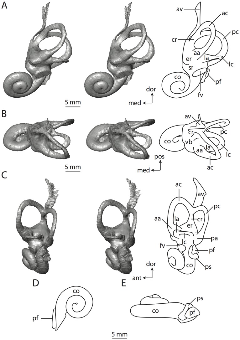 Figure 20