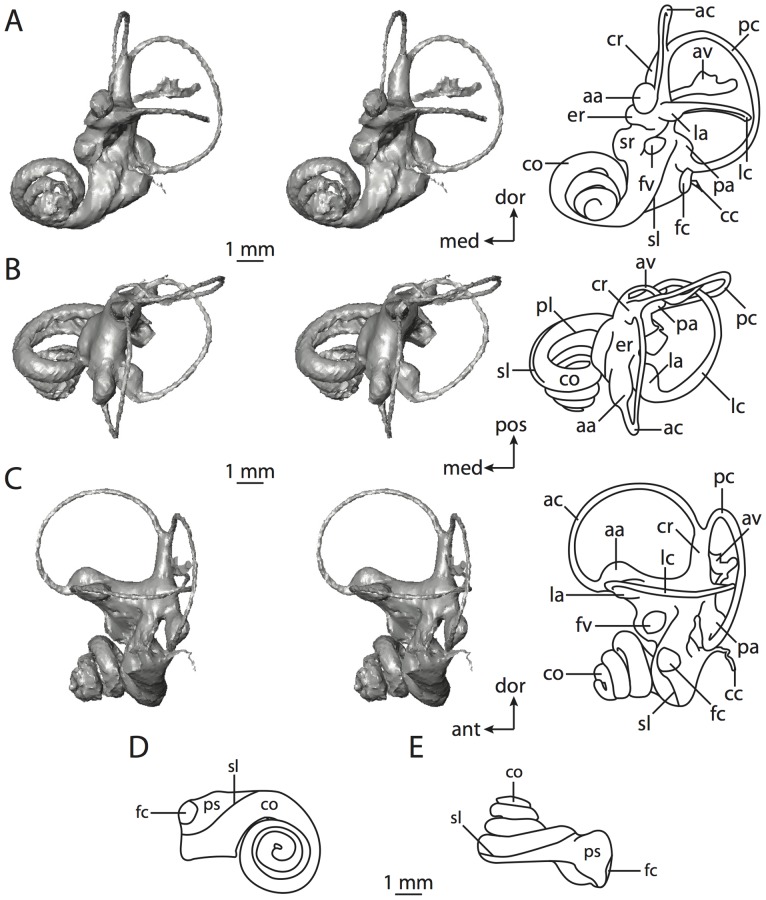 Figure 16