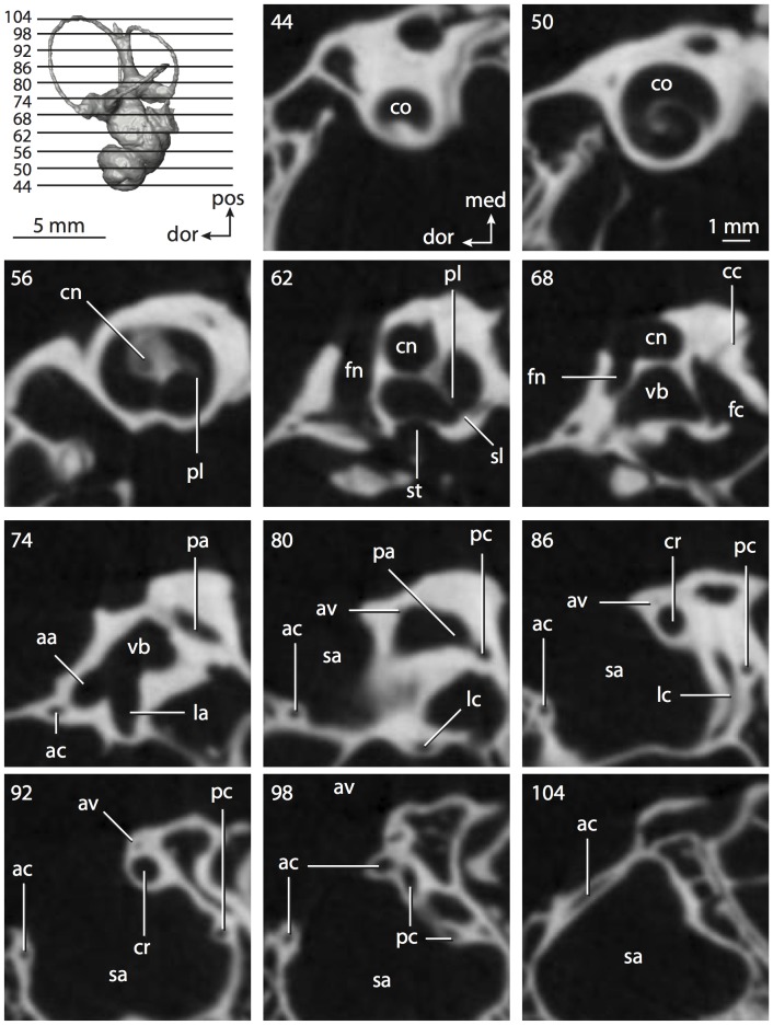 Figure 59