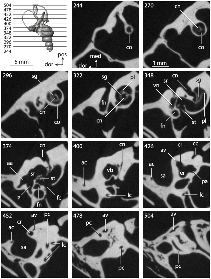 Figure 57