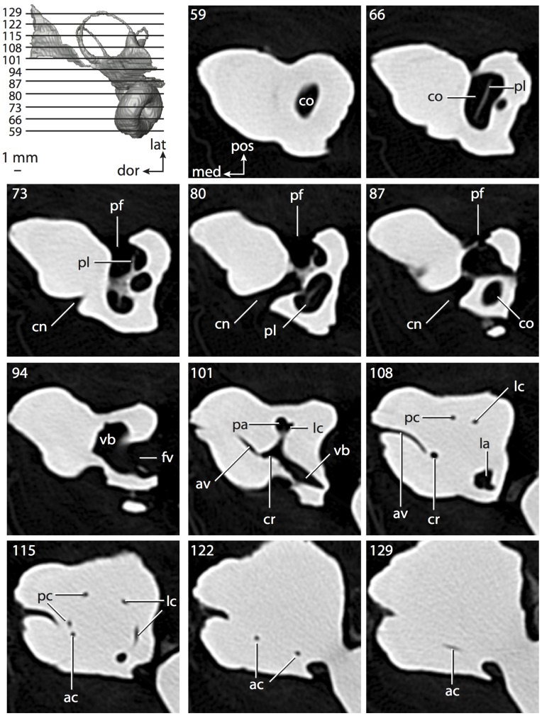 Figure 19