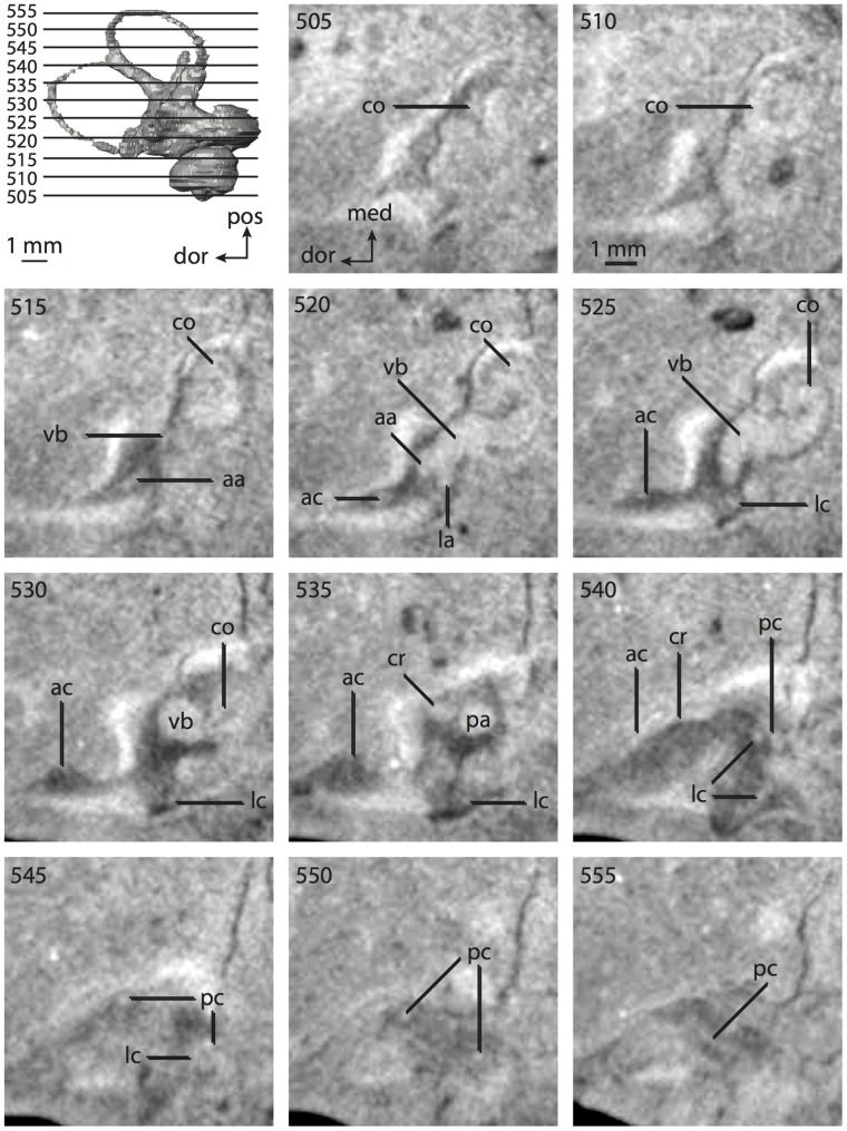 Figure 25