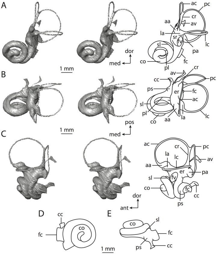 Figure 42