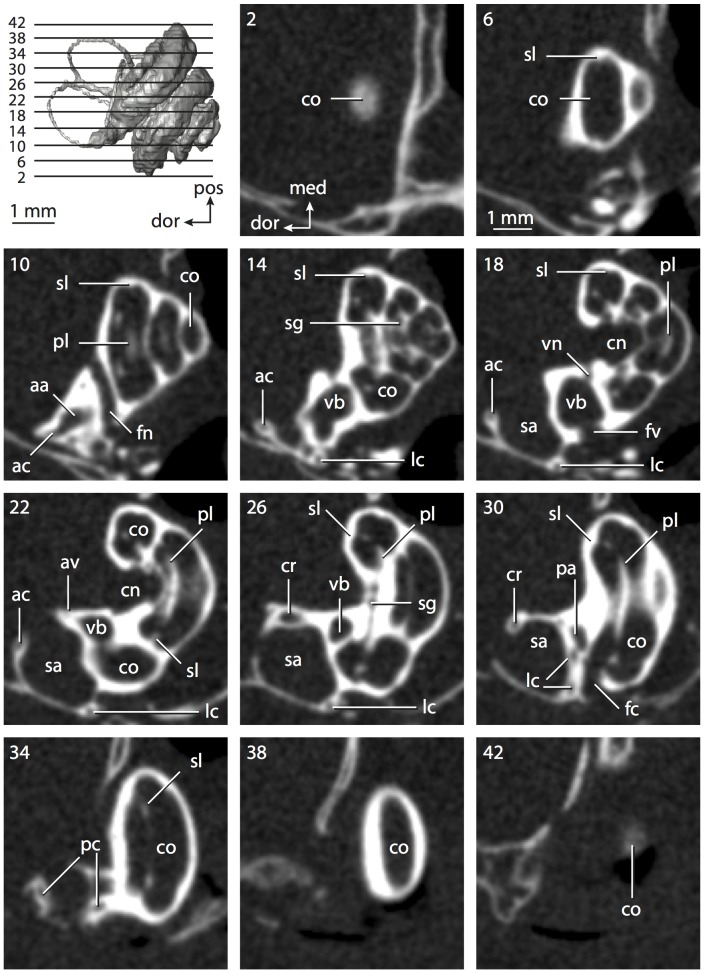 Figure 47