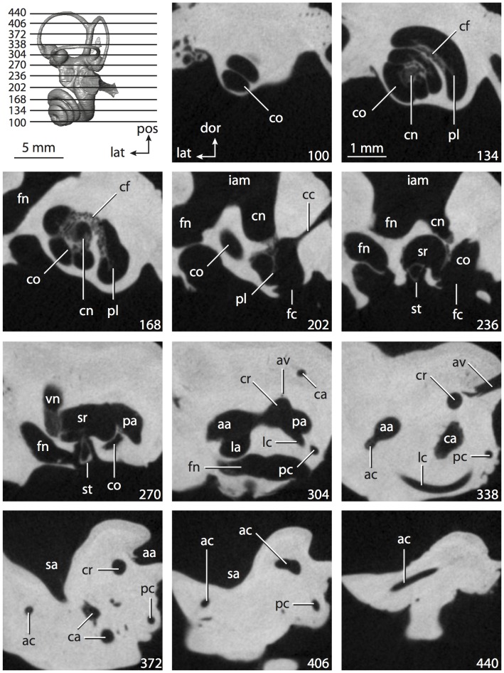 Figure 27