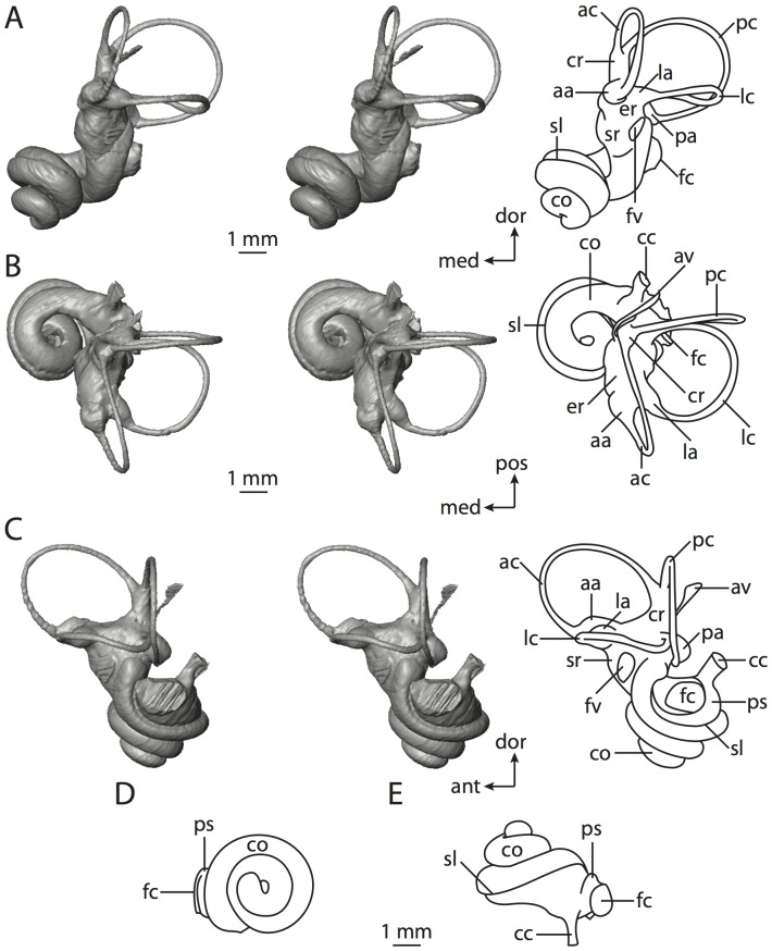 Figure 22