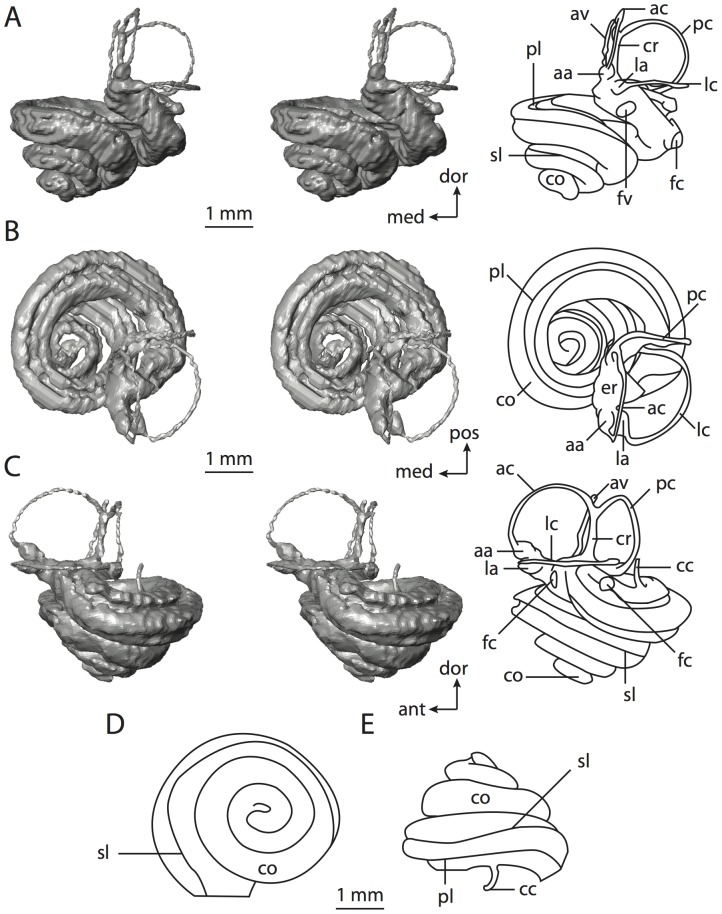 Figure 46