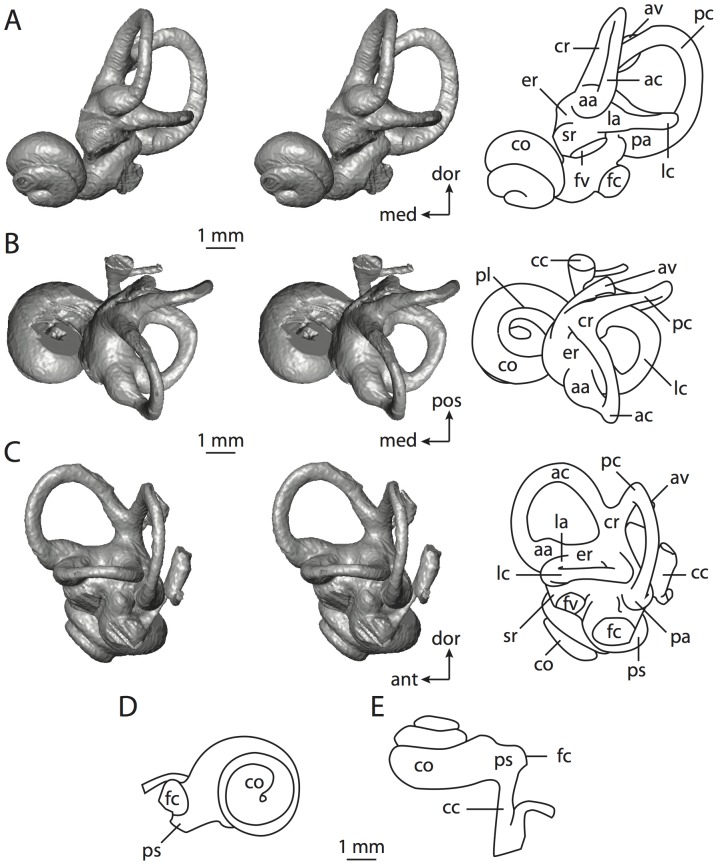 Figure 40