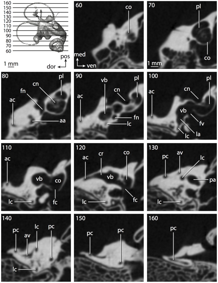 Figure 17