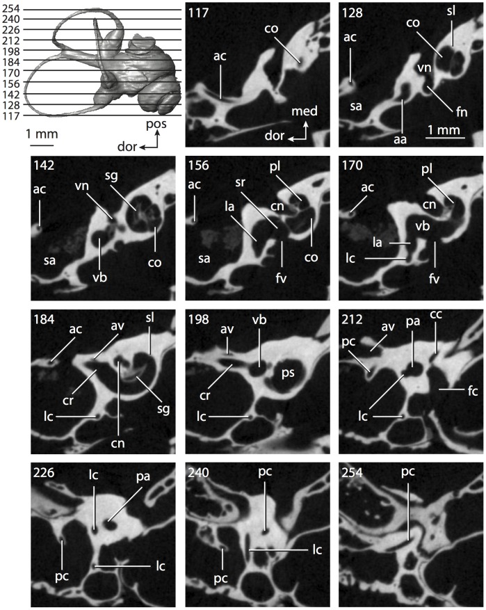 Figure 61