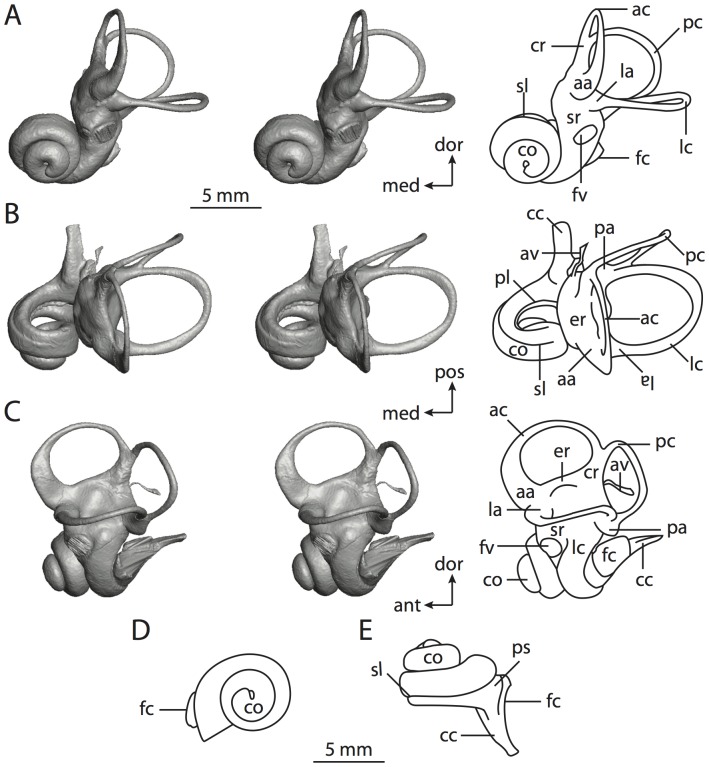 Figure 36