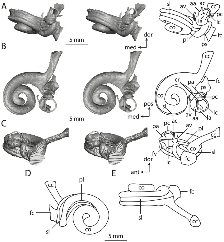 Figure 30