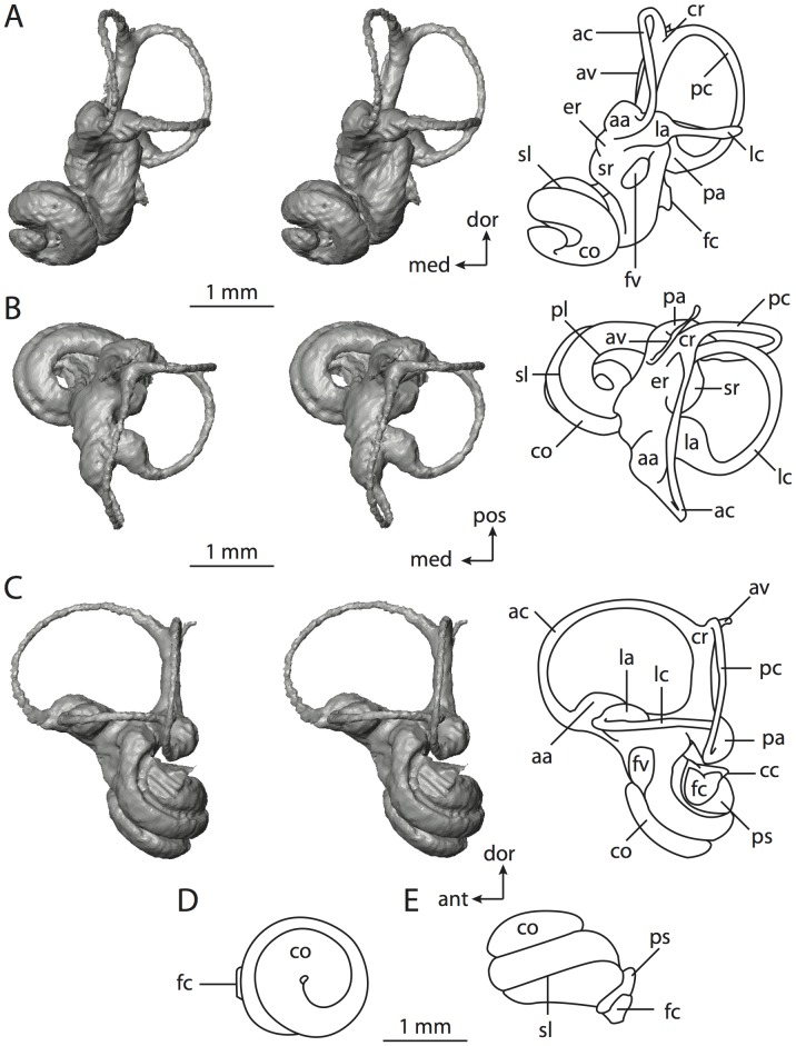 Figure 54