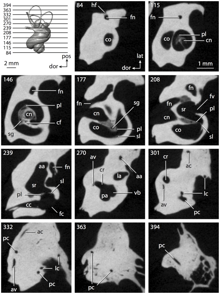 Figure 39