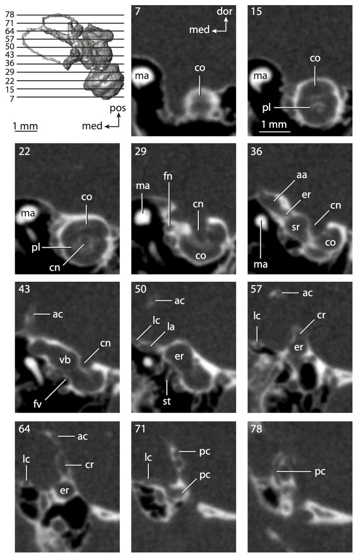 Figure 9