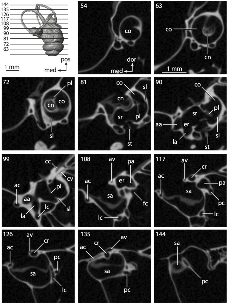 Figure 13