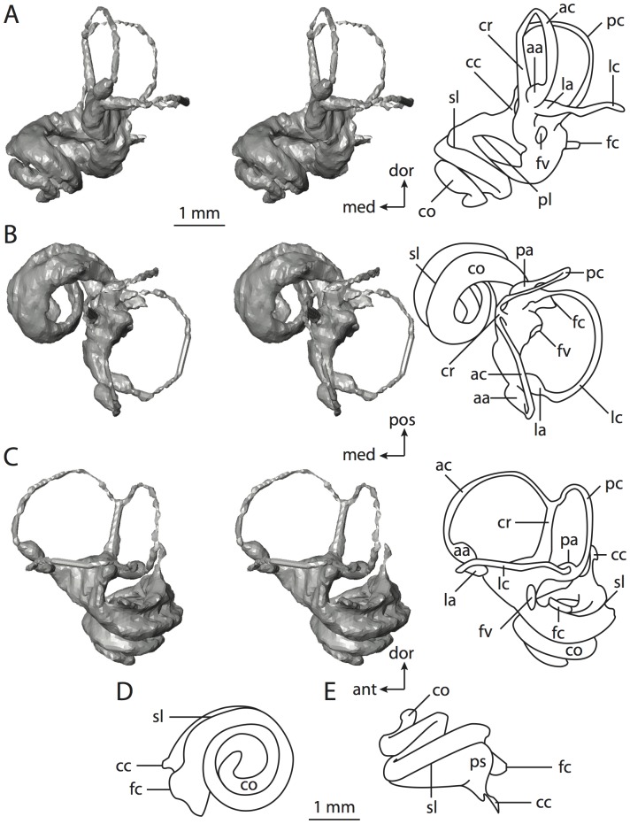 Figure 44