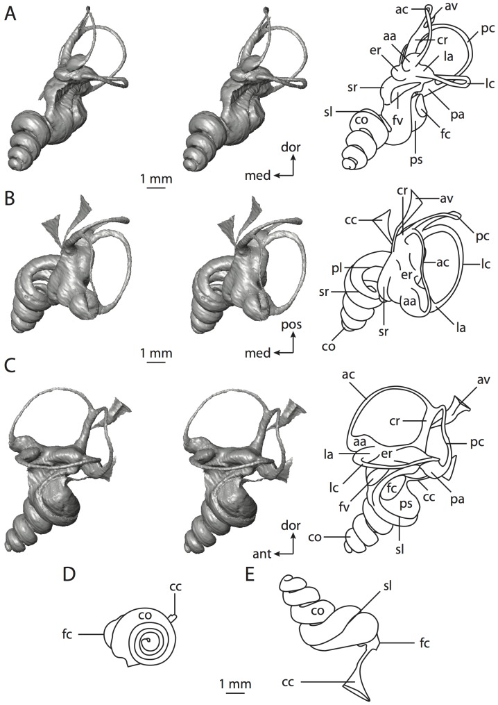 Figure 56