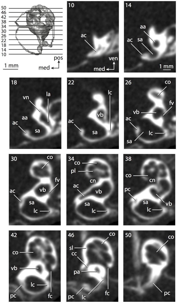 Figure 45