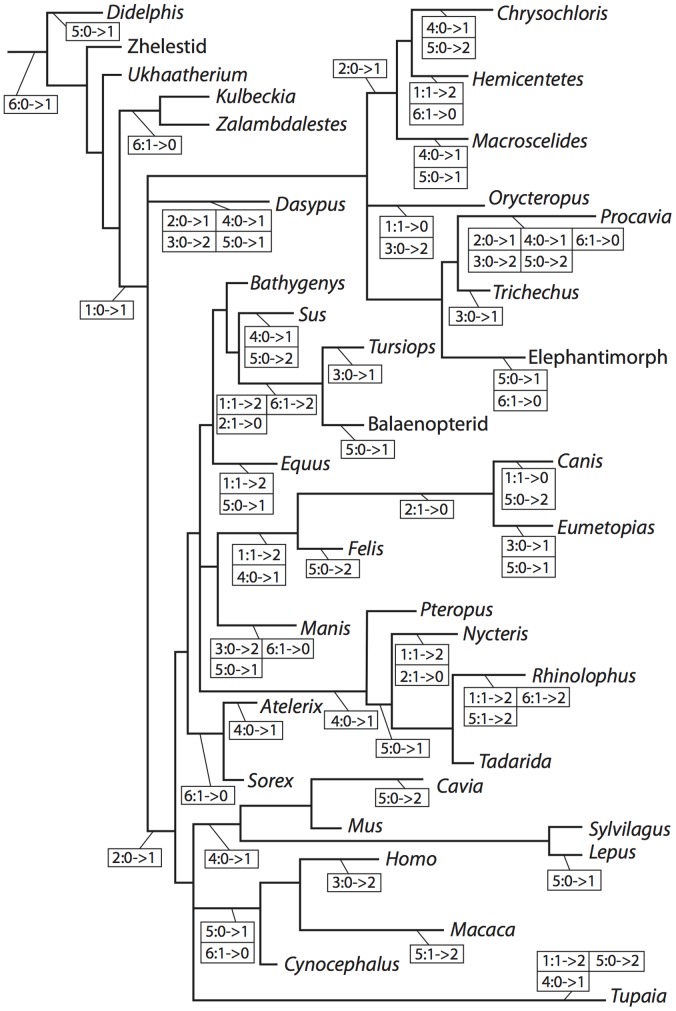 Figure 71