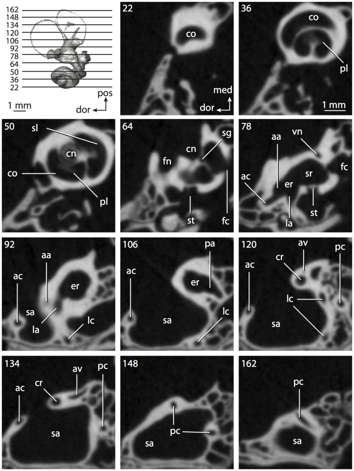 Figure 43