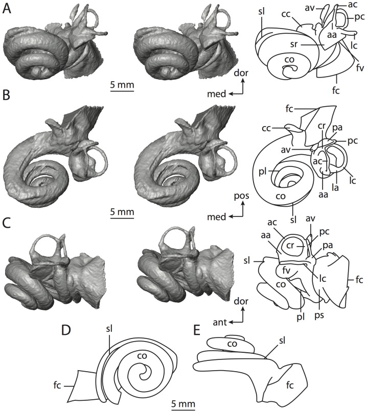 Figure 28