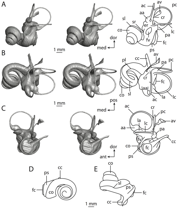 Figure 38